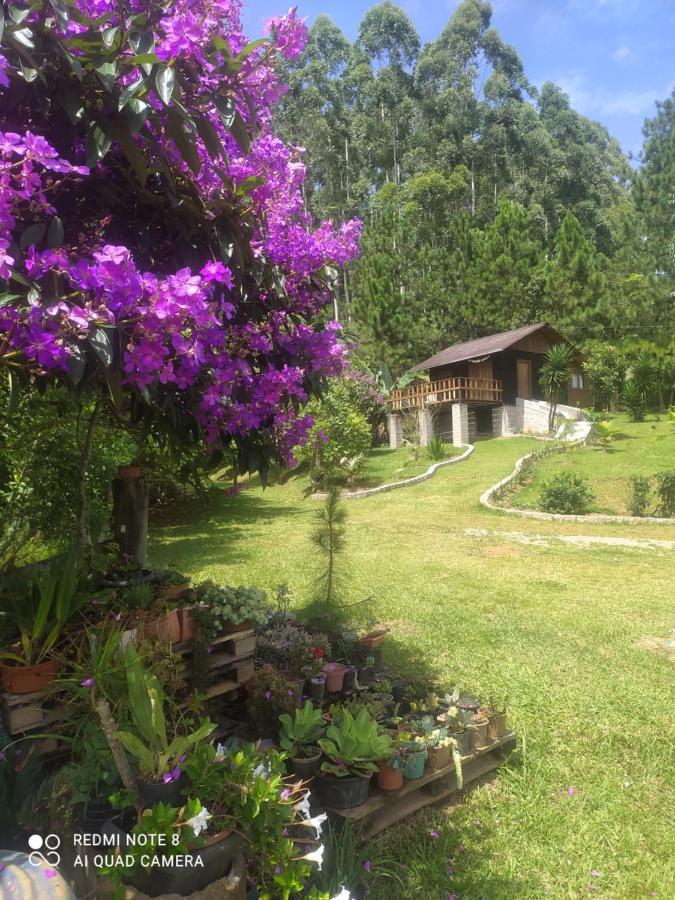 Sol Lontras